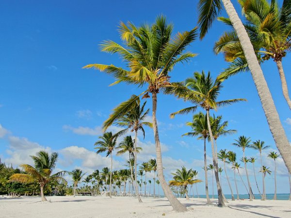 Wat zijn de top culturele ervaringen tijdens een reis?